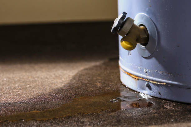 Best Commercial water damage restoration  in Largo, FL
