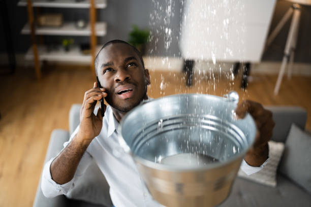 Best Flooded house restoration  in Largo, FL