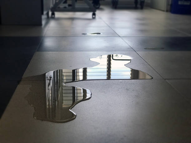 Best 24/7 water damage repair  in Largo, FL