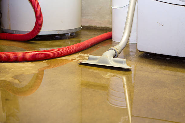 Best Flood restoration services  in Largo, FL