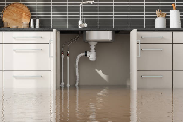 Best Water damage restoration specialists  in Largo, FL