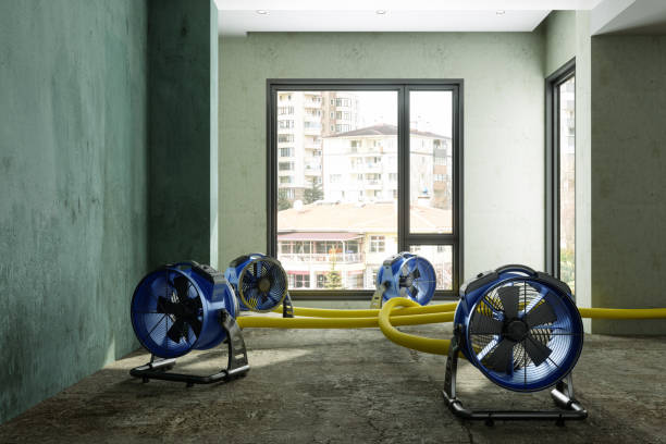 Best 24-hour water damage restoration  in Largo, FL